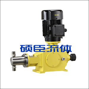 1582616268641551.jpg 柱塞計量泵.jpg